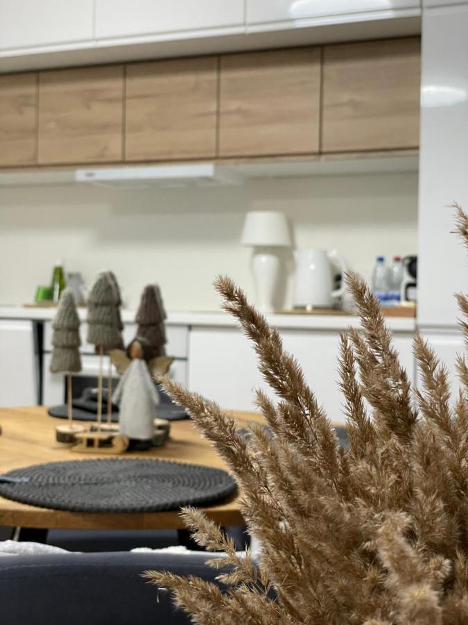 Forest Studio Ντρουσκινινκάι Εξωτερικό φωτογραφία
